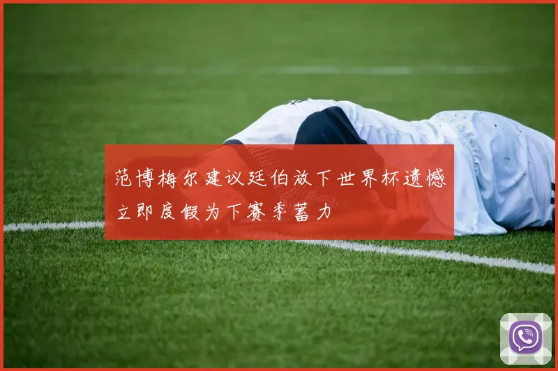 范博梅尔建议廷伯放下世界杯遗憾立即度假为下赛季蓄力