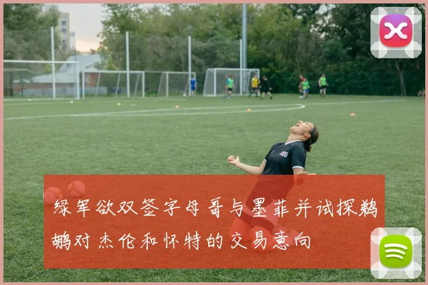 绿军欲双签字母哥与墨菲并试探鹈鹕对杰伦和怀特的交易意向